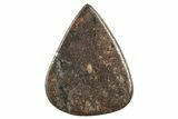 Polished Chondrite Meteorite Cabochon ( g) #238208-1